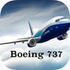 Boeing 737 ng cbt software for mac